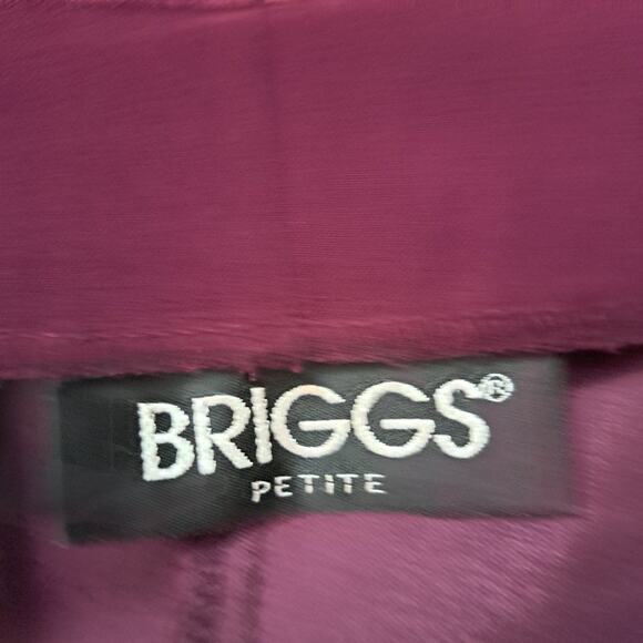 Briggs Faux Suede Pleated Front Pants - Picture 5 of 6